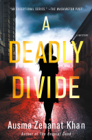 book cover for A Deadly Divide