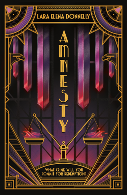 book cover for Amnesty