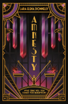 book cover for Amnesty