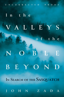 book cover for In the Valleys of the Noble Beyond