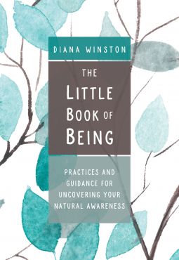 book cover for The Little Book of Being