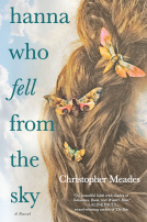 book cover for Hanna Who Fell from the Sky