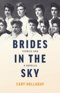 book cover for Brides in the Sky