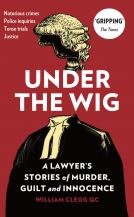 book cover for Under the Wig