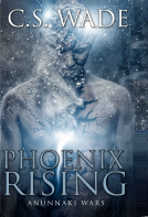 book cover for Phoenix Rising