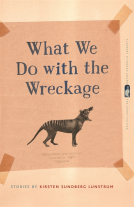 book cover for What We Do with the Wreckage