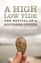 book cover for A High Low Tide