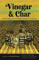 book cover for Vinegar and Char
