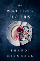 book cover for The Waiting Hours