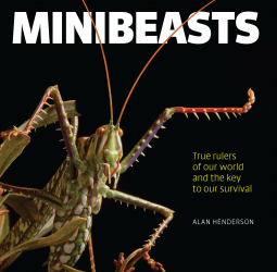 book cover for Minibeasts