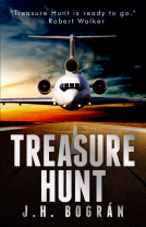 book cover for Treasure Hunt