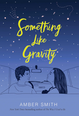 book cover for Something Like Gravity
