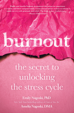 book cover for Burnout