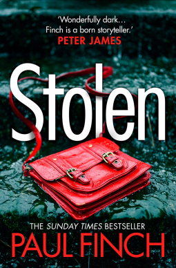 book cover for Stolen