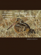 book cover for Sky Dance of the Woodcock