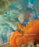book cover for The Octopus Museum