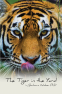 Cover Image: The Tiger in the Yard