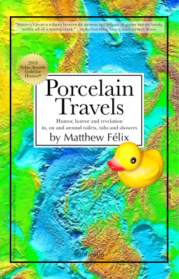 book cover for Porcelain Travels