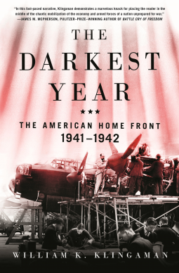 book cover for The Darkest Year