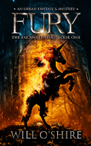 book cover for Fury