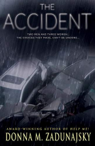 book cover for The Accident