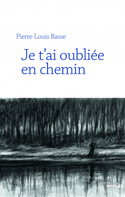 Couverture du livre pour Je t'ai oubliée en chemin