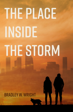 book cover for The Place Inside the Storm