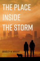 book cover for The Place Inside the Storm
