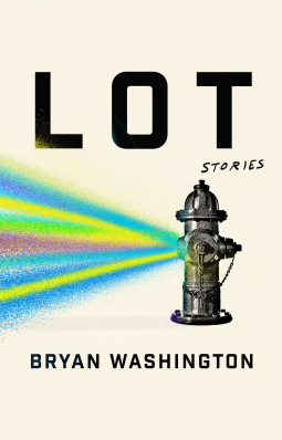 book cover for Lot