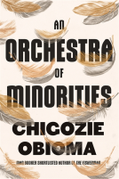book cover for An Orchestra of Minorities