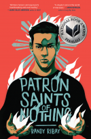 book cover for Patron Saints of Nothing