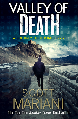 book cover for Valley of Death