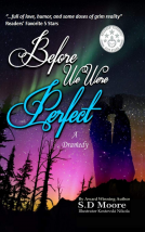 book cover for Before We Were Perfect