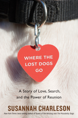 book cover for Where The Lost Dogs Go