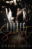 book cover for My Little Secret