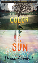 book cover for The Color of the Sun