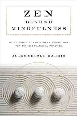 book cover for Zen beyond Mindfulness