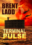 book cover for Terminal Pulse