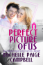 Cover Image: A Perfect Picture of Us