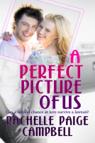 book cover for A Perfect Picture of Us