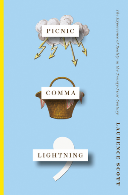 book cover for Picnic Comma Lightning