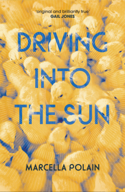 book cover for Driving into the Sun