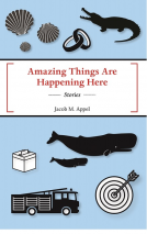 book cover for Amazing Things Are Happening Here