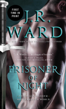 book cover for Prisoner of Night