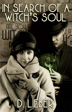 book cover for In Search of a Witch's Soul