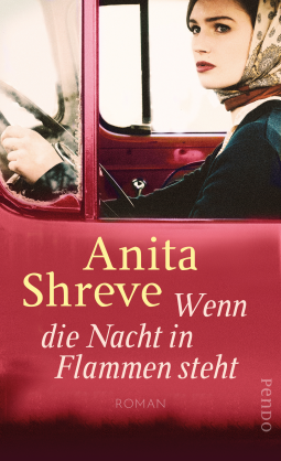 Buchcover für Wenn die Nacht in Flammen steht