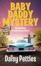 book cover for Baby Daddy Mystery: Shady Hoosier Detective Agency (Book 2)