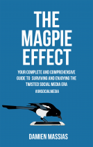 book cover for The Magpie Effect