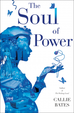 book cover for The Soul of Power