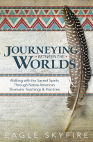 book cover for Journeying Between the Worlds